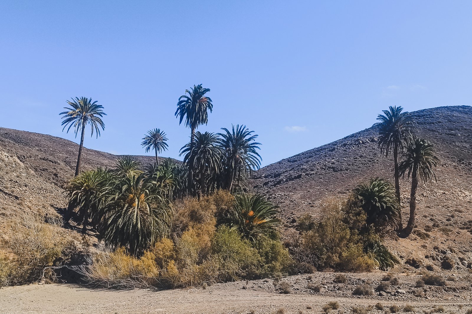 FUERTEVENTURA_FLOATER_PRODUCTIONS_AND02_IMG_20220311_111748