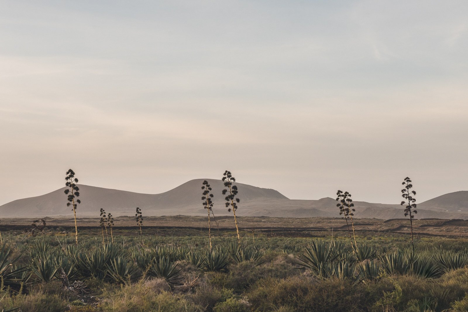 FUERTEVENTURA_FLOATER_PRODUCTIONS_FLOATER__ERP1756