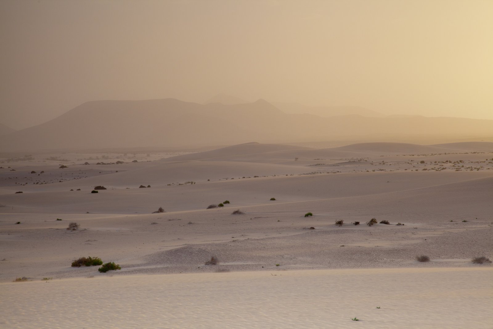 FUERTEVENTURA_FLOATER_PRODUCTIONS_IMG_3861