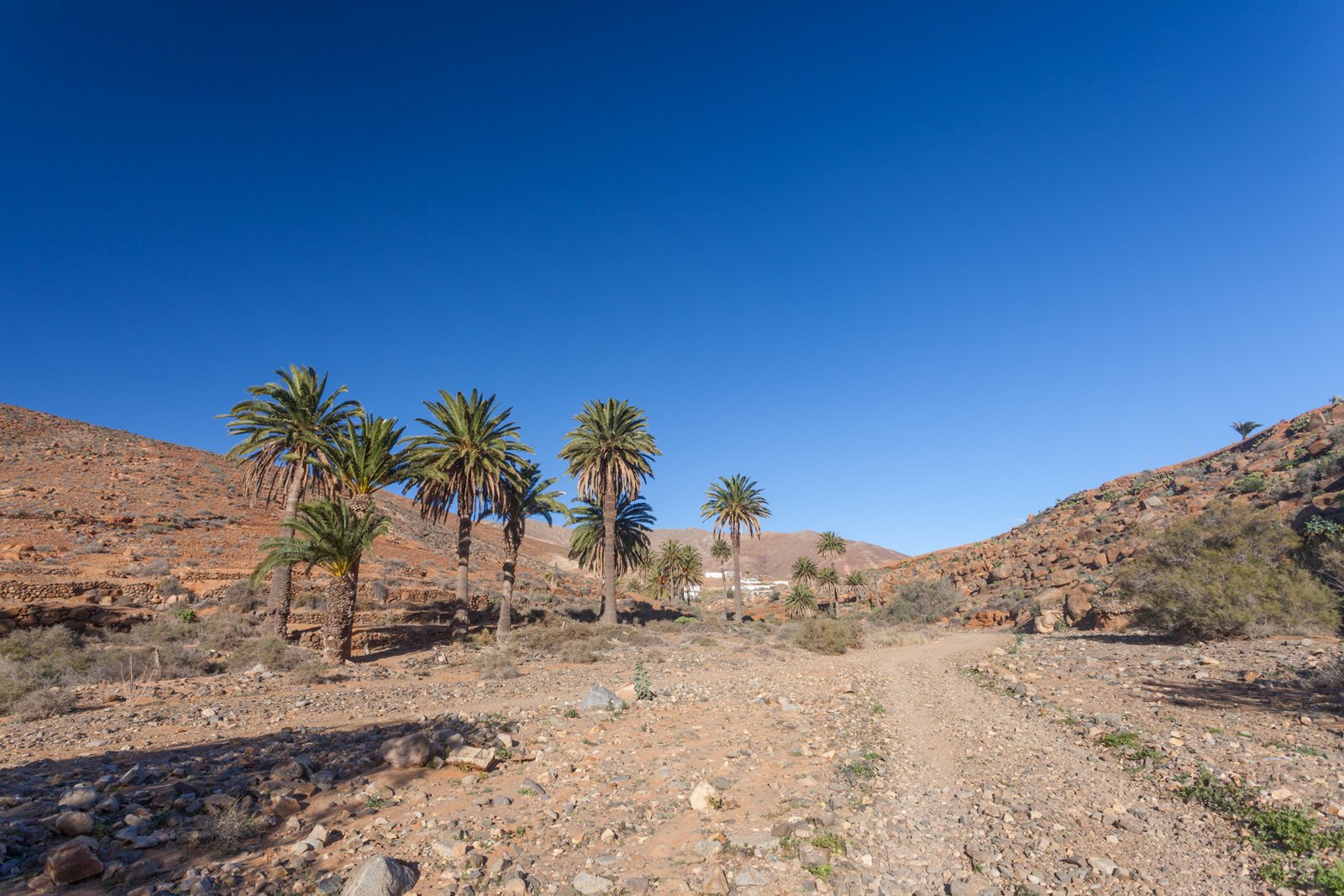 FUERTEVENTURA_FLOATER_PRODUCTIONS_IMG_9358