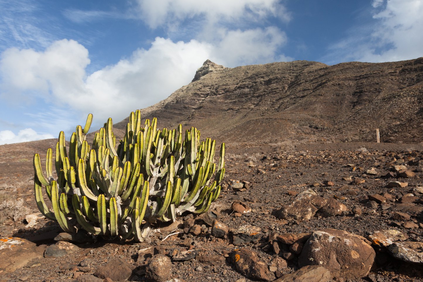 FUERTEVENTURA_FLOATER_PRODUCTIONS_IMG_9863