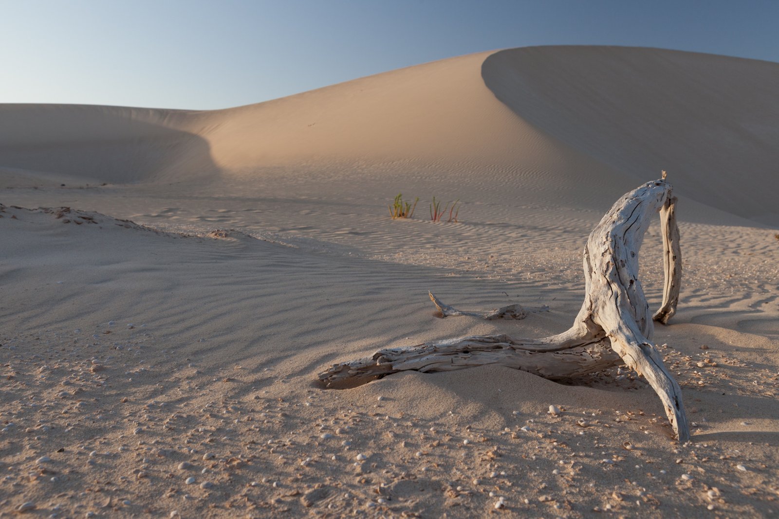 FUERTEVENTURA_FLOATER_PRODUCTIONS__MG_8866