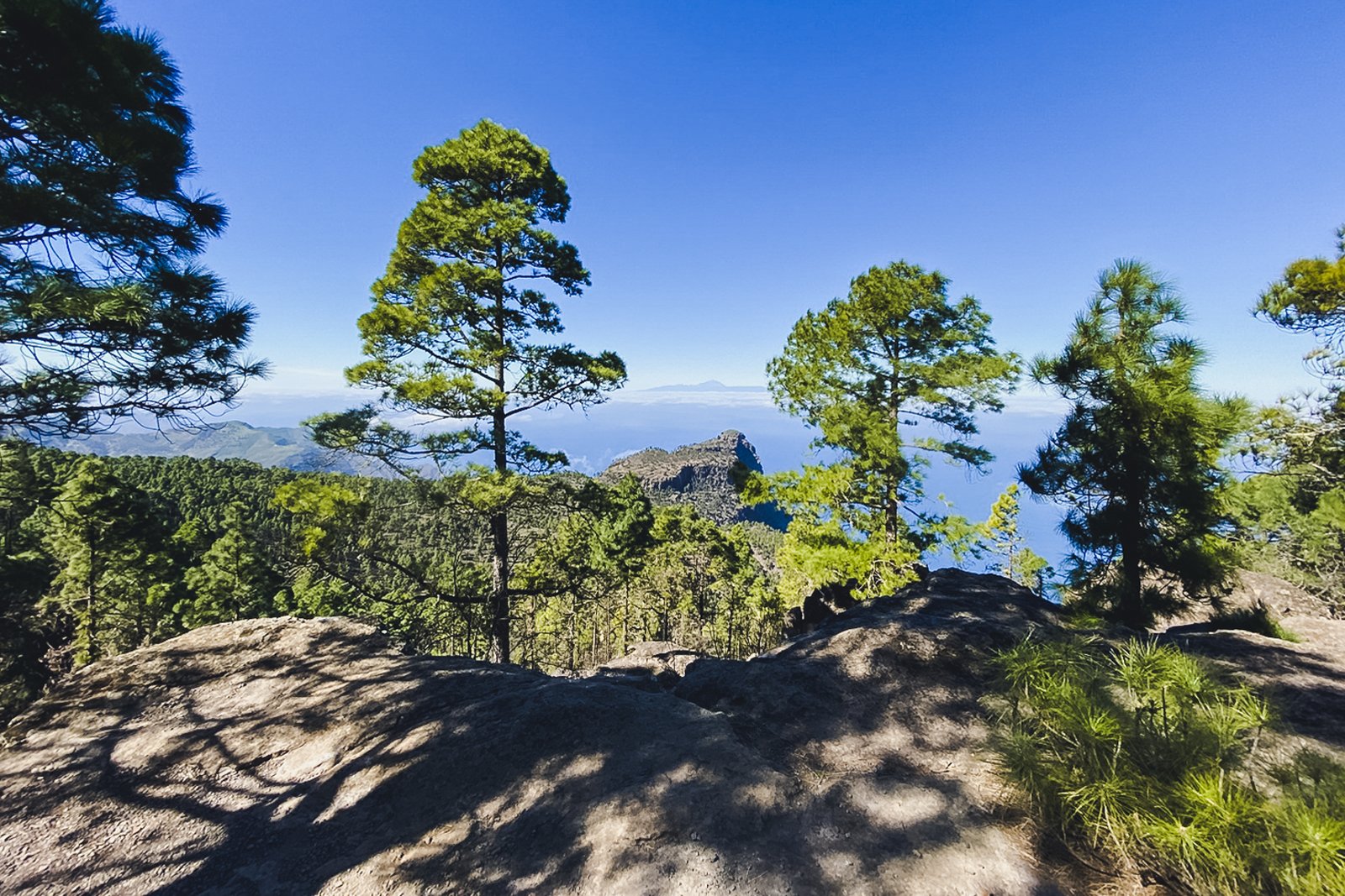 GRAN_CANARIA_FLOATER_PRODUCTIONS_20210203_GC_06_02_FOREST AND LOWER MOUNTAIN_6_1