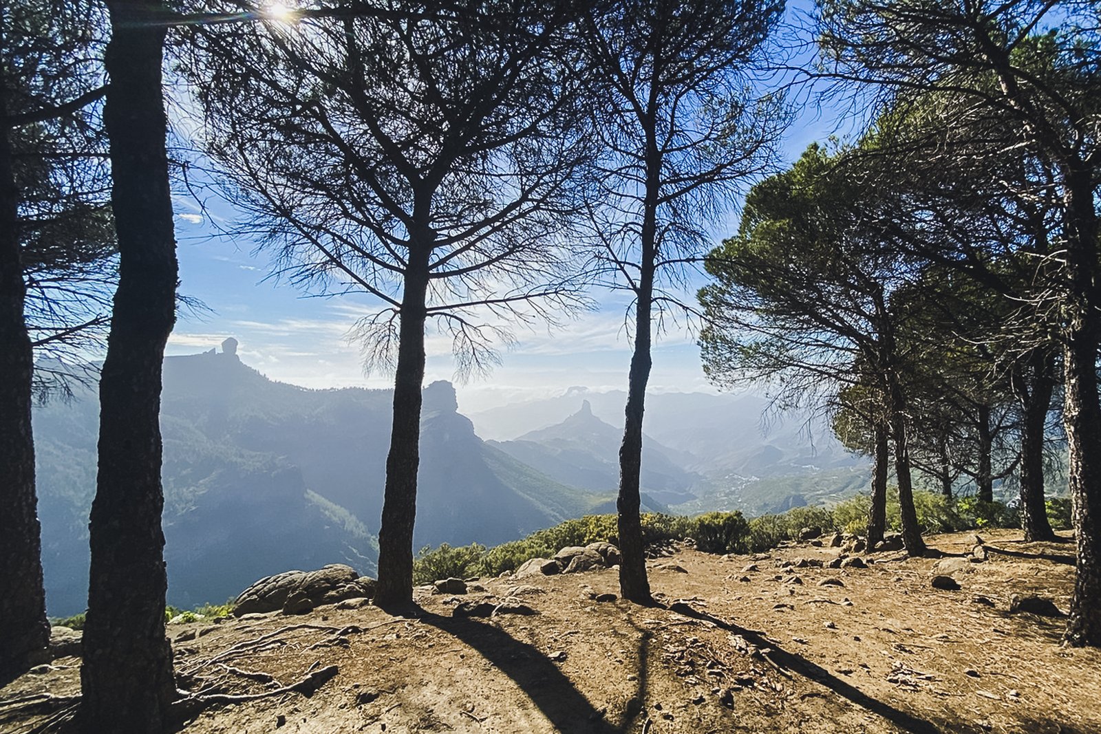 GRAN_CANARIA_FLOATER_PRODUCTIONS_20210402_GC_04_02_FOREST AND LOWER MOUNTAIN_4_18