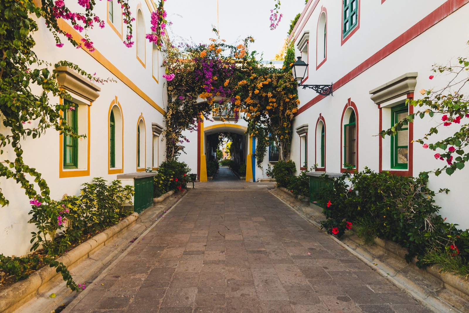 Small halley with arch of flowers.