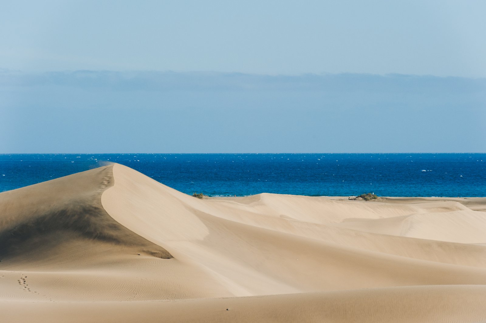 View of the dunes.