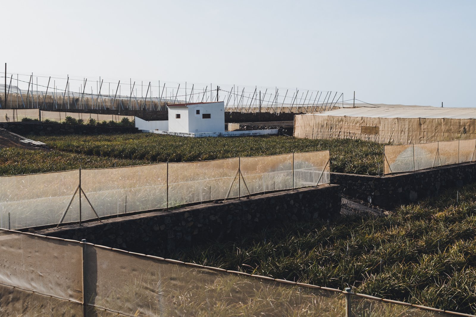 HIERRO_FLOATER_PRODUCTIONS_ERP8171