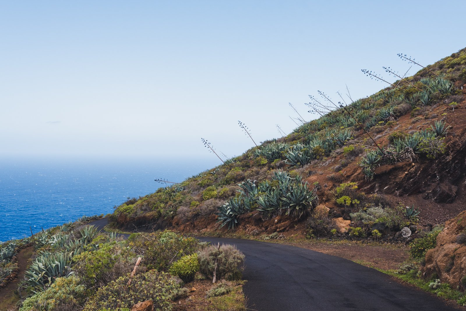 HIERRO_FLOATER_PRODUCTIONS_ERP8432