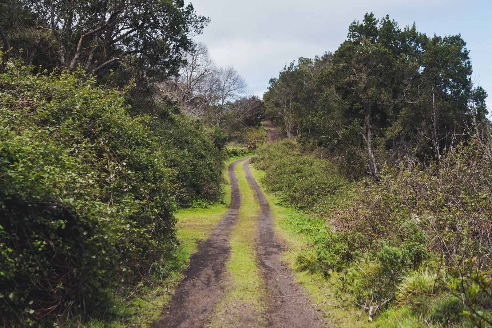 HIERRO_FLOATER_PRODUCTIONS_ERP9004