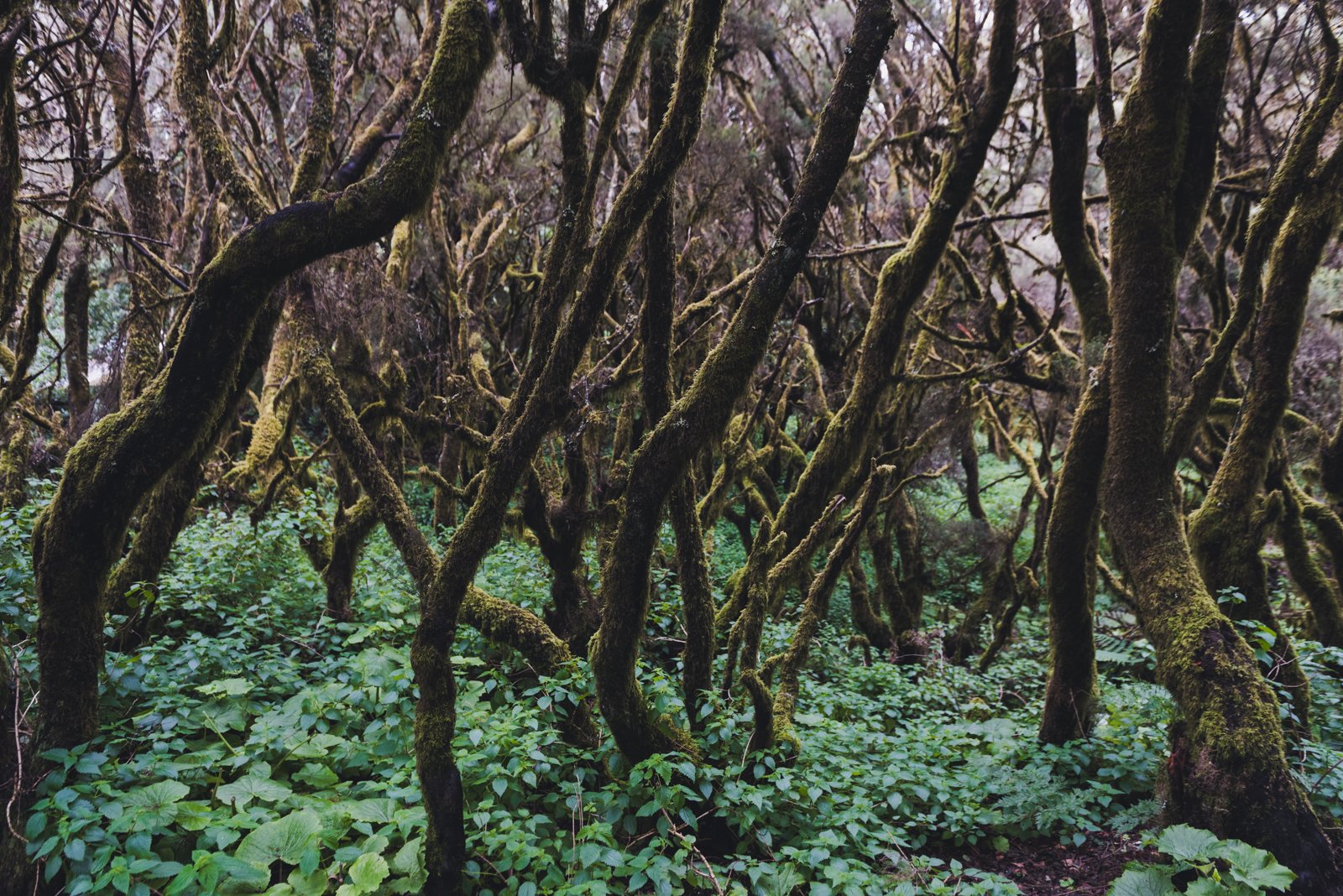 HIERRO_FLOATER_PRODUCTIONS_ERP9034