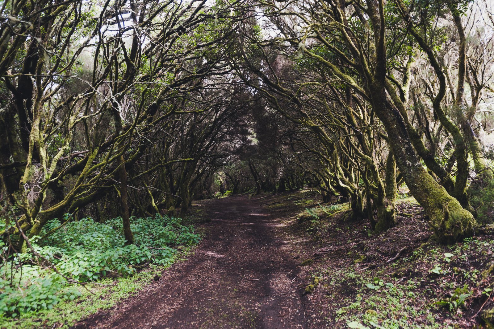 HIERRO_FLOATER_PRODUCTIONS_ERP9092