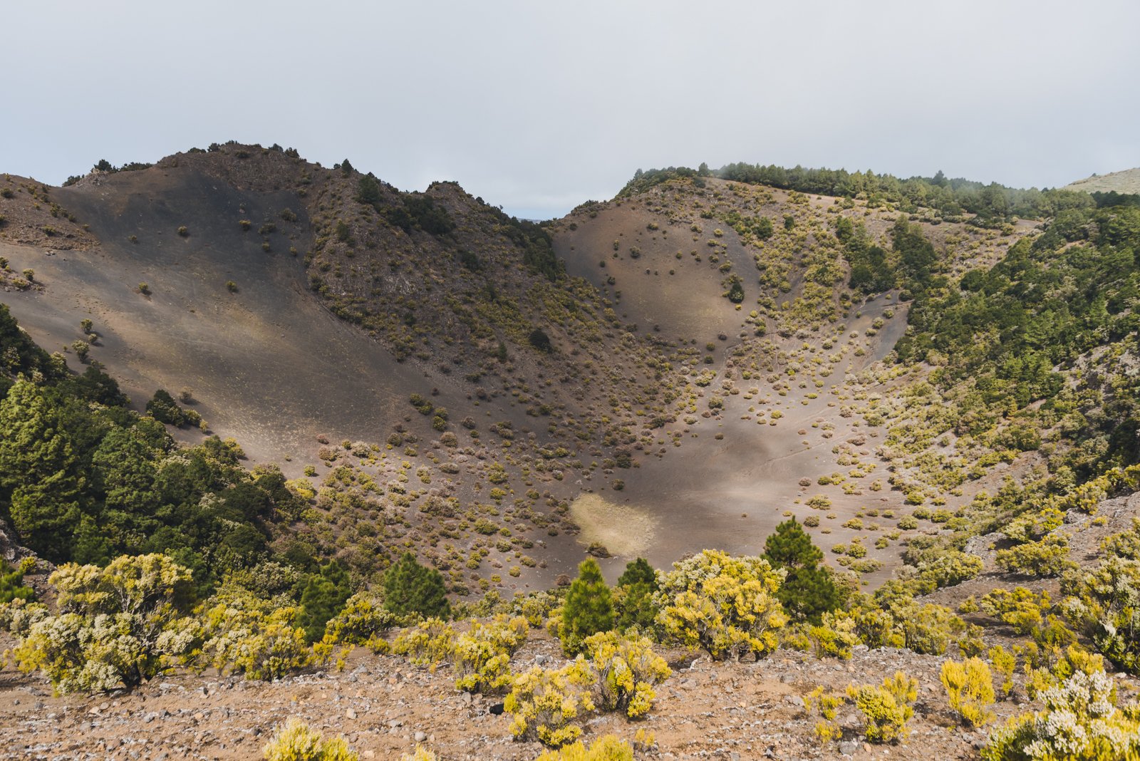 HIERRO_FLOATER_PRODUCTIONS_ERP9112