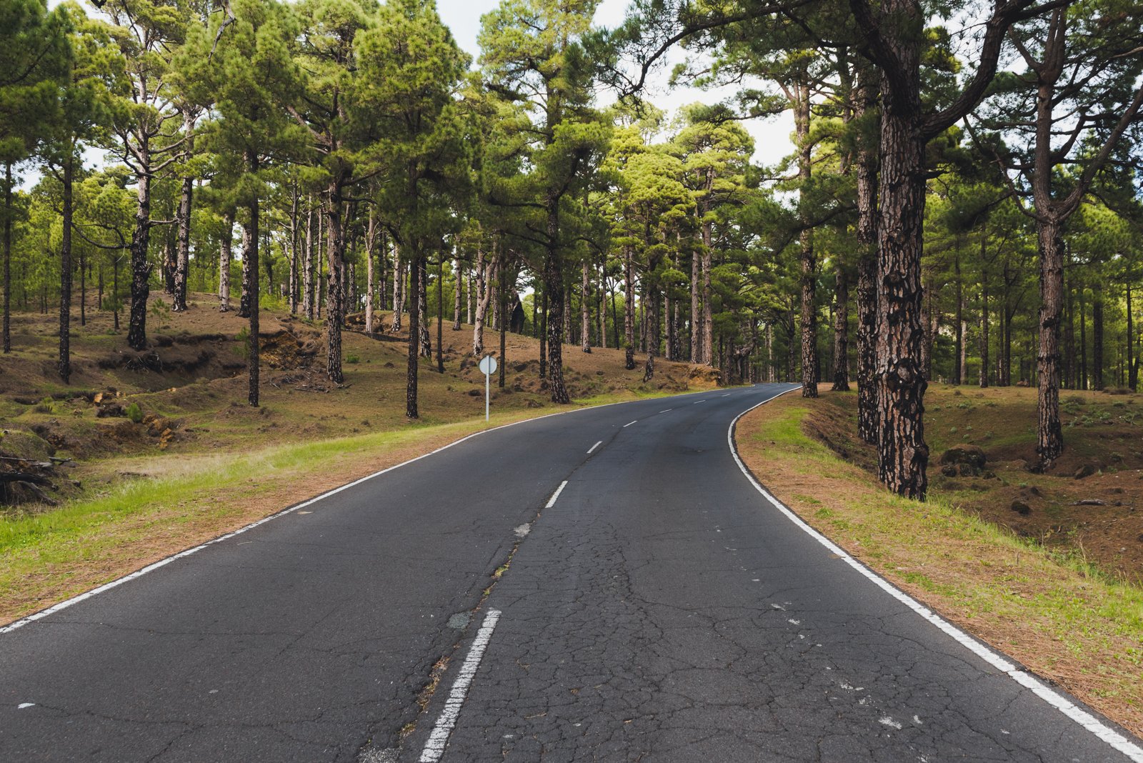 HIERRO_FLOATER_PRODUCTIONS_ERP9155