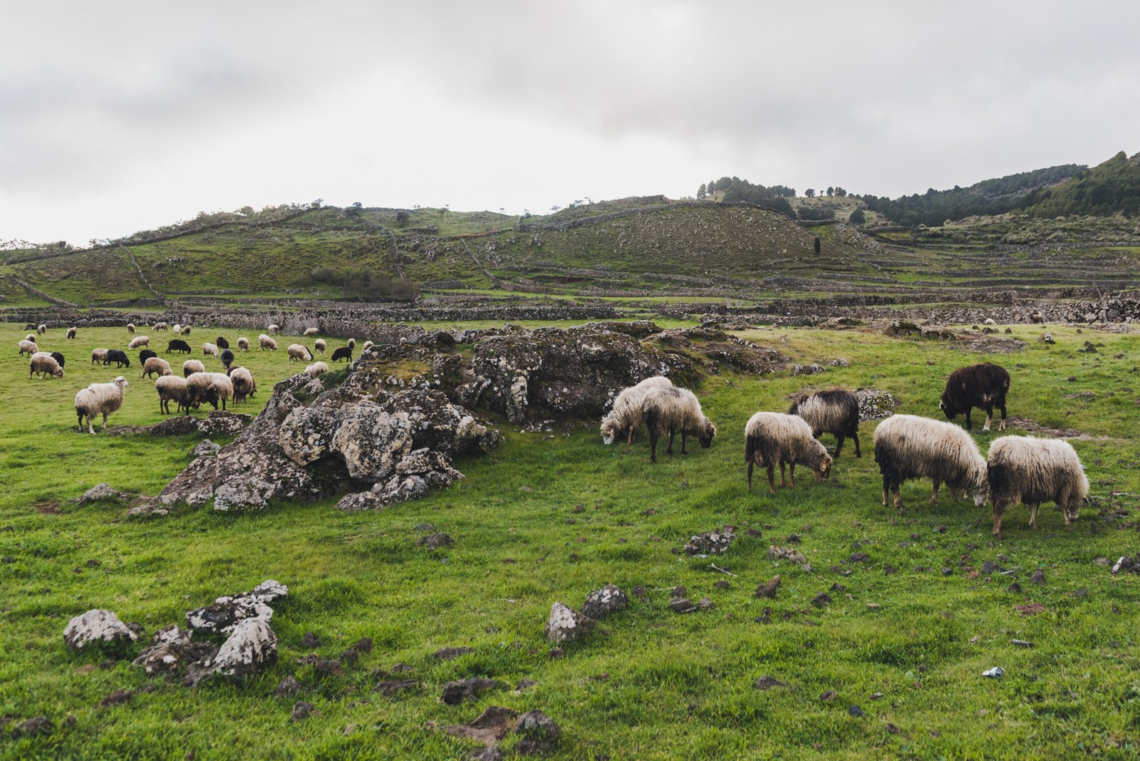 HIERRO_FLOATER_PRODUCTIONS_ERP9252