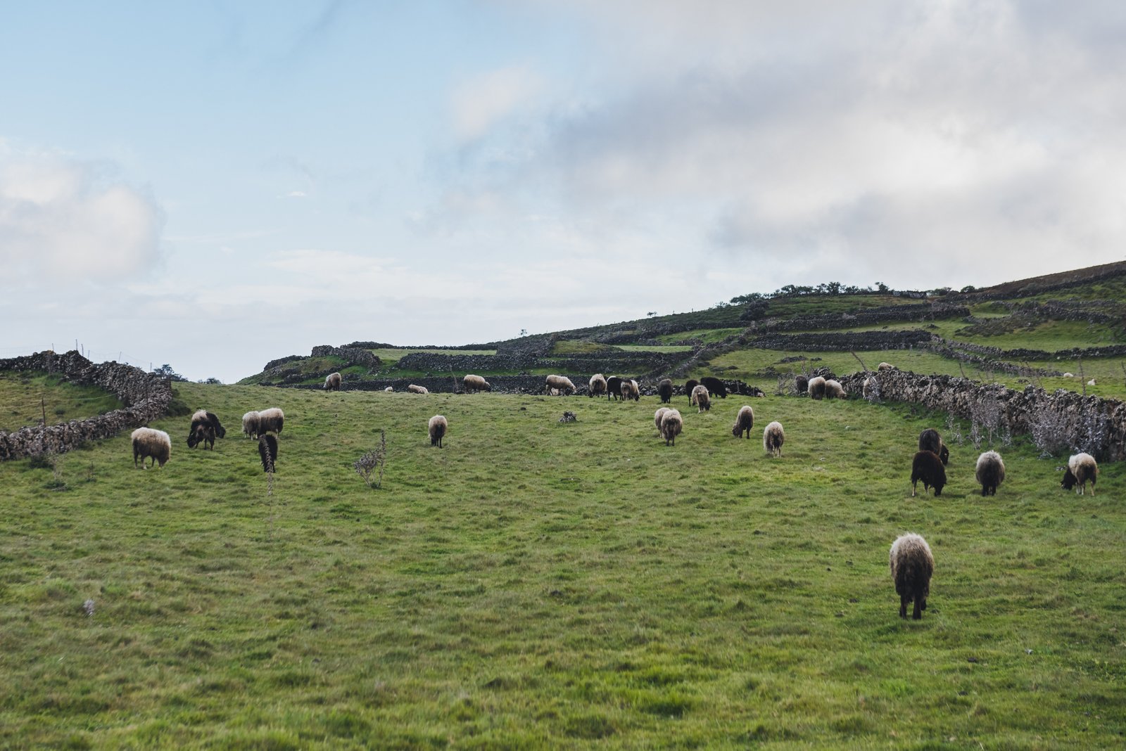 HIERRO_FLOATER_PRODUCTIONS_ERP9257