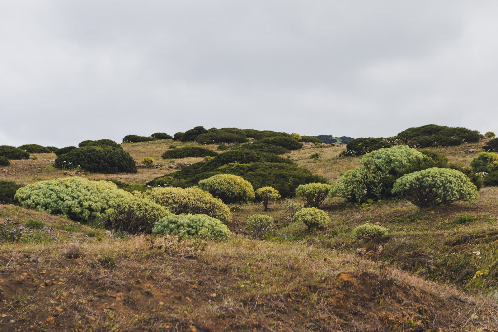 HIERRO_FLOATER_PRODUCTIONS_ERP9652