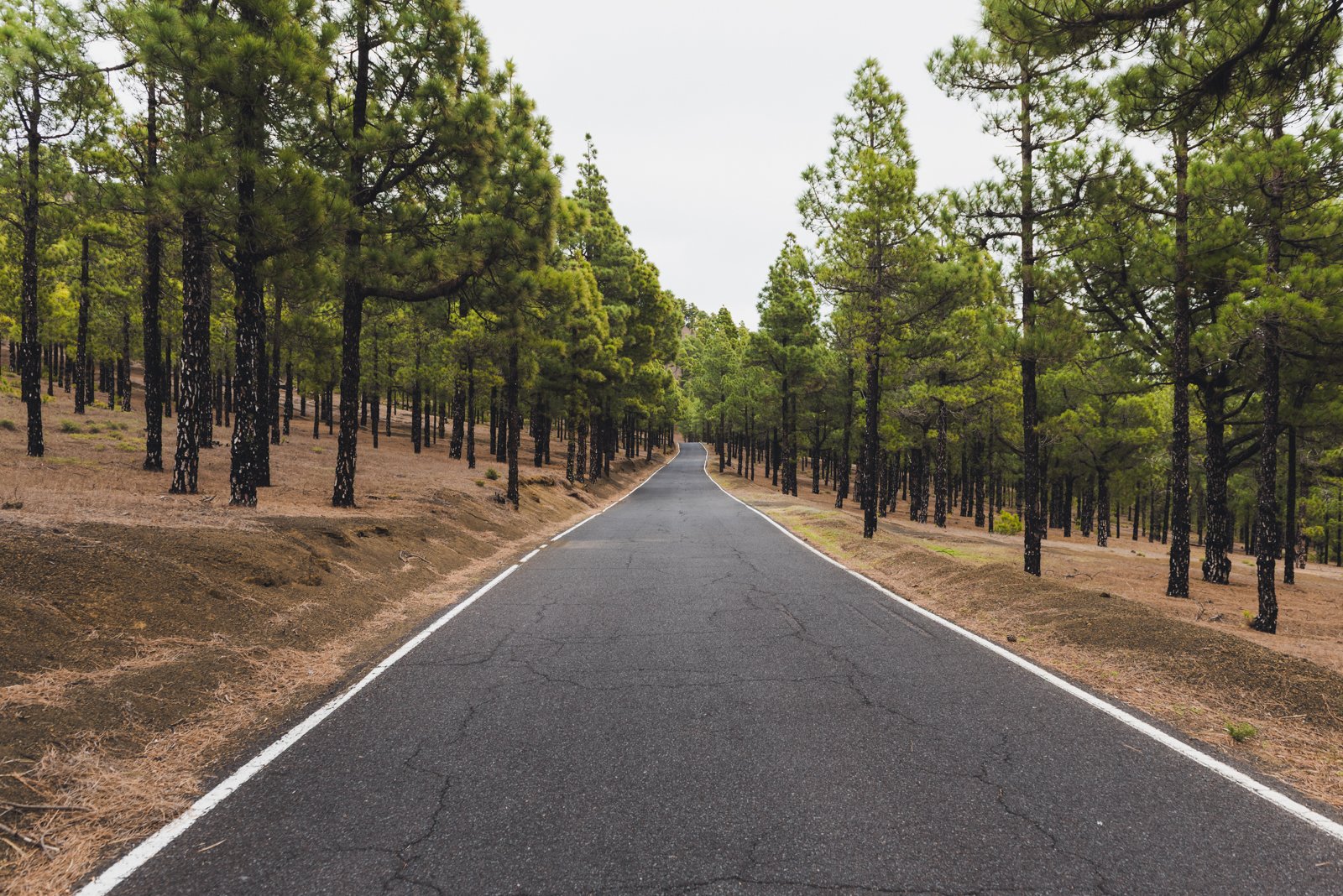 HIERRO_FLOATER_PRODUCTIONS_ERP9663