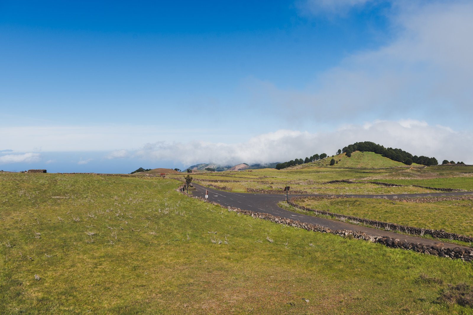 HIERRO_FLOATER_PRODUCTIONS_ERP9748