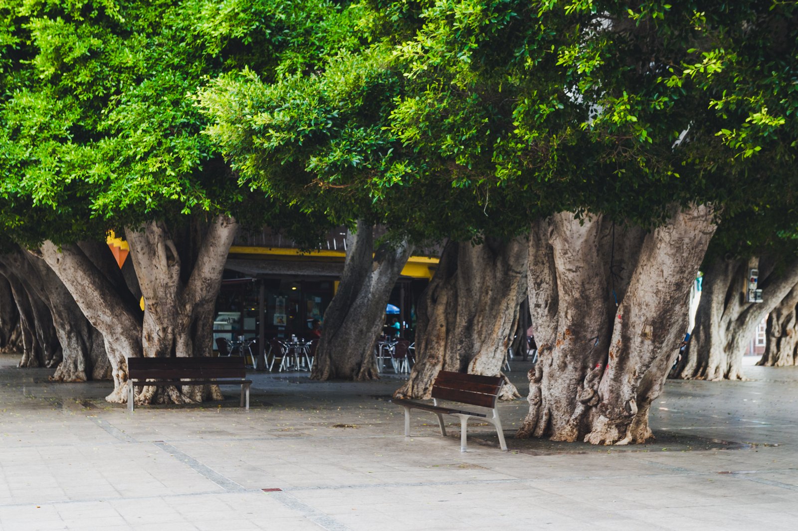 LA_GOMERA_FLOATER_PRODUCTIONS__DSC1978