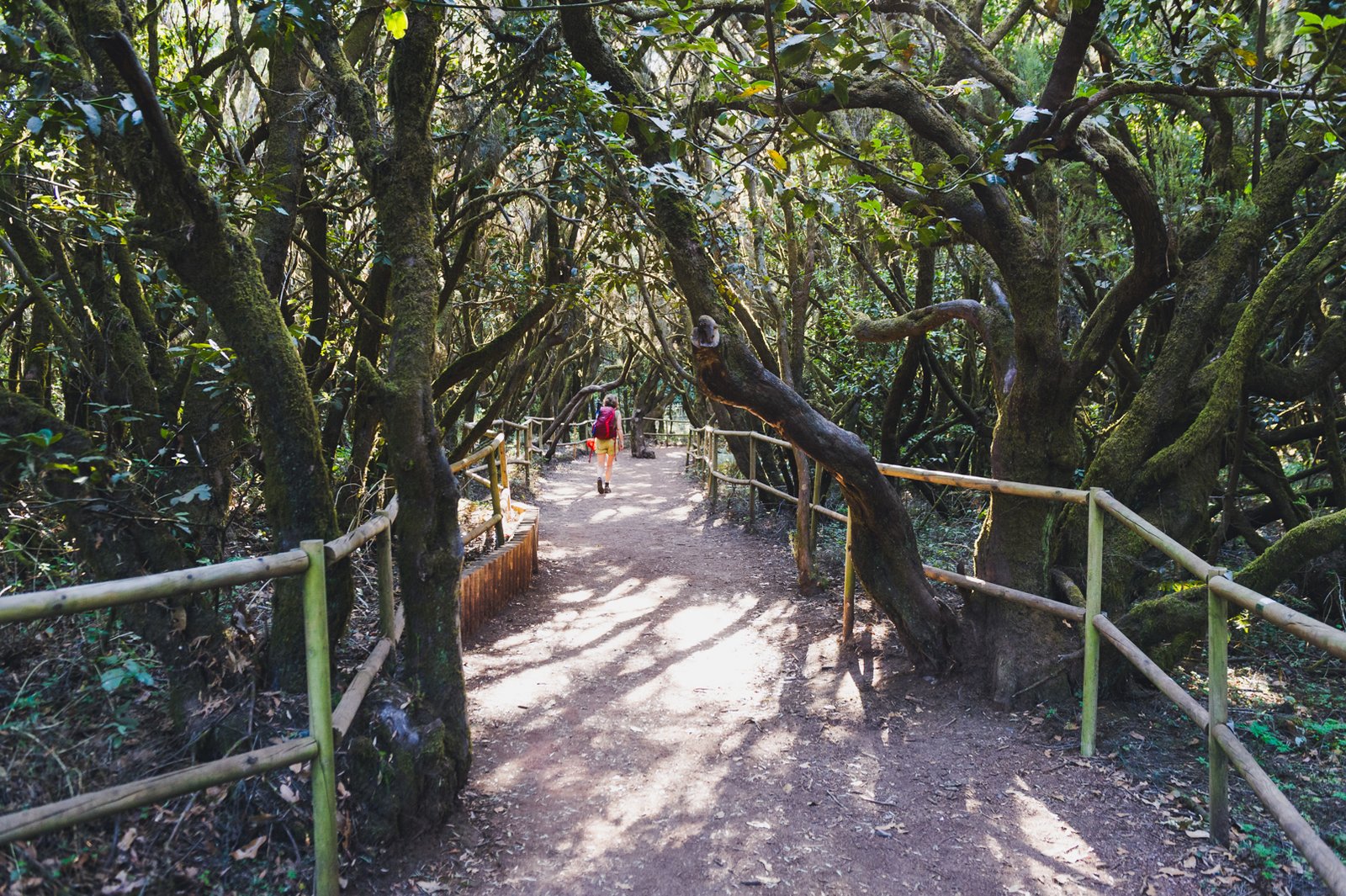 LA_GOMERA_FLOATER_PRODUCTIONS__DSC2262