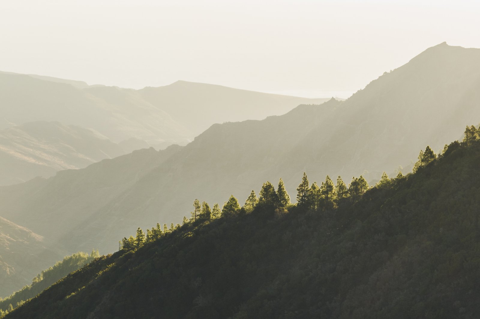 LA_GOMERA_FLOATER_PRODUCTIONS__DSC2934