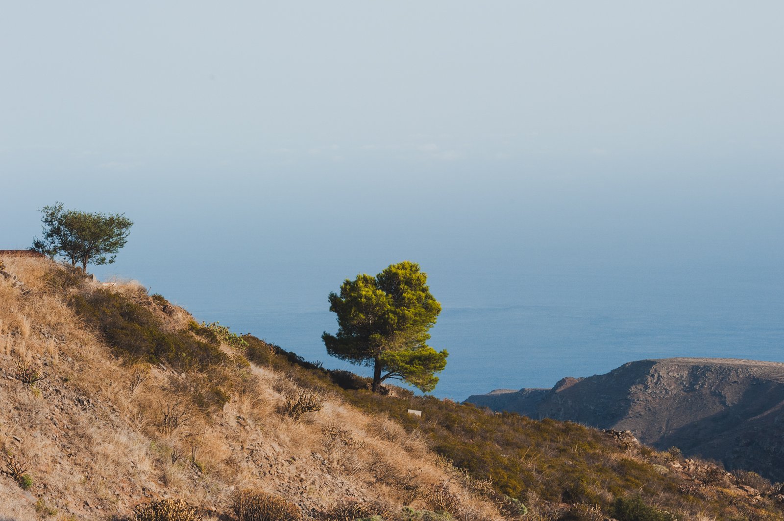 LA_GOMERA_FLOATER_PRODUCTIONS__DSC5478