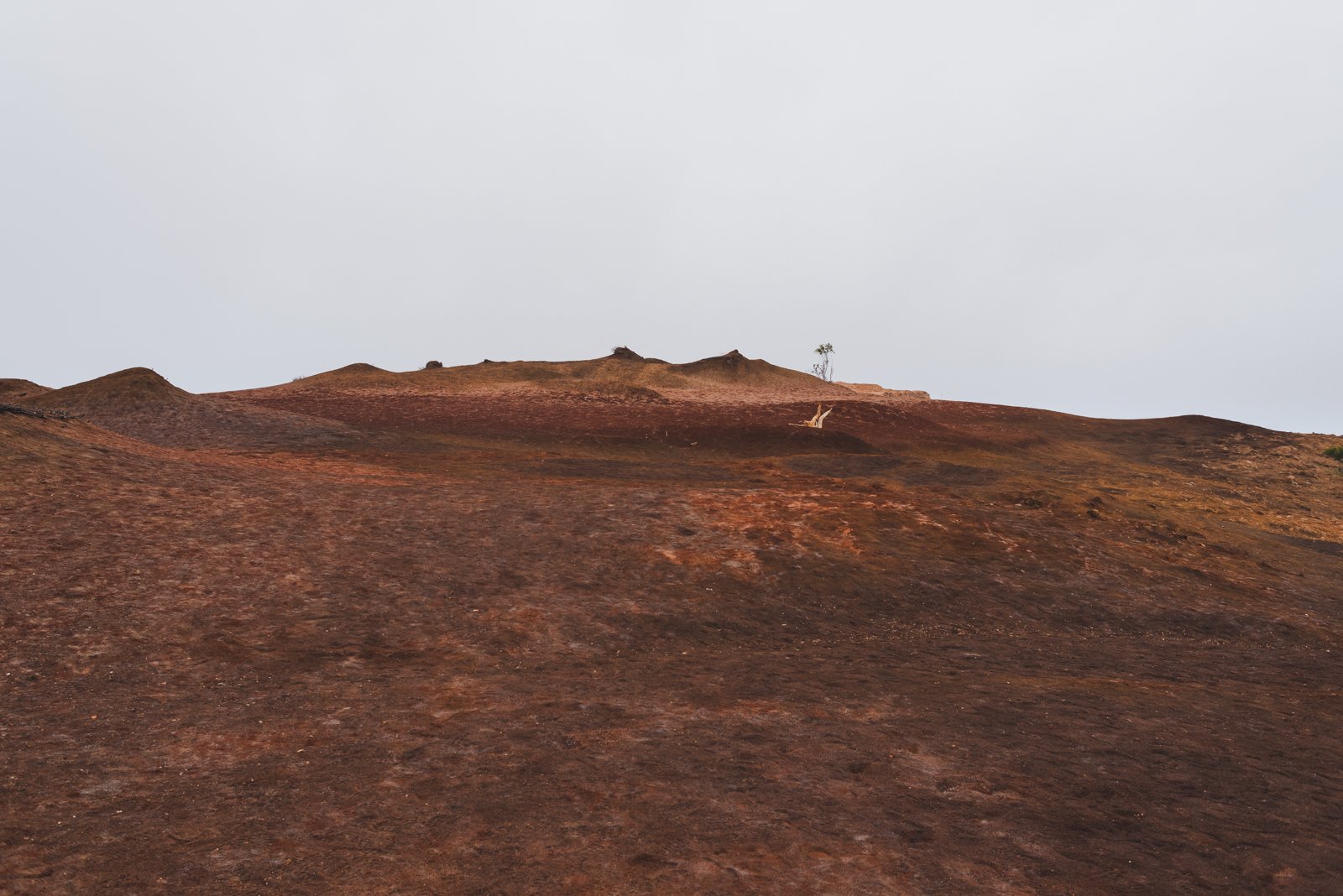 LA_GOMERA_FLOATER_PRODUCTIONS__ER20076