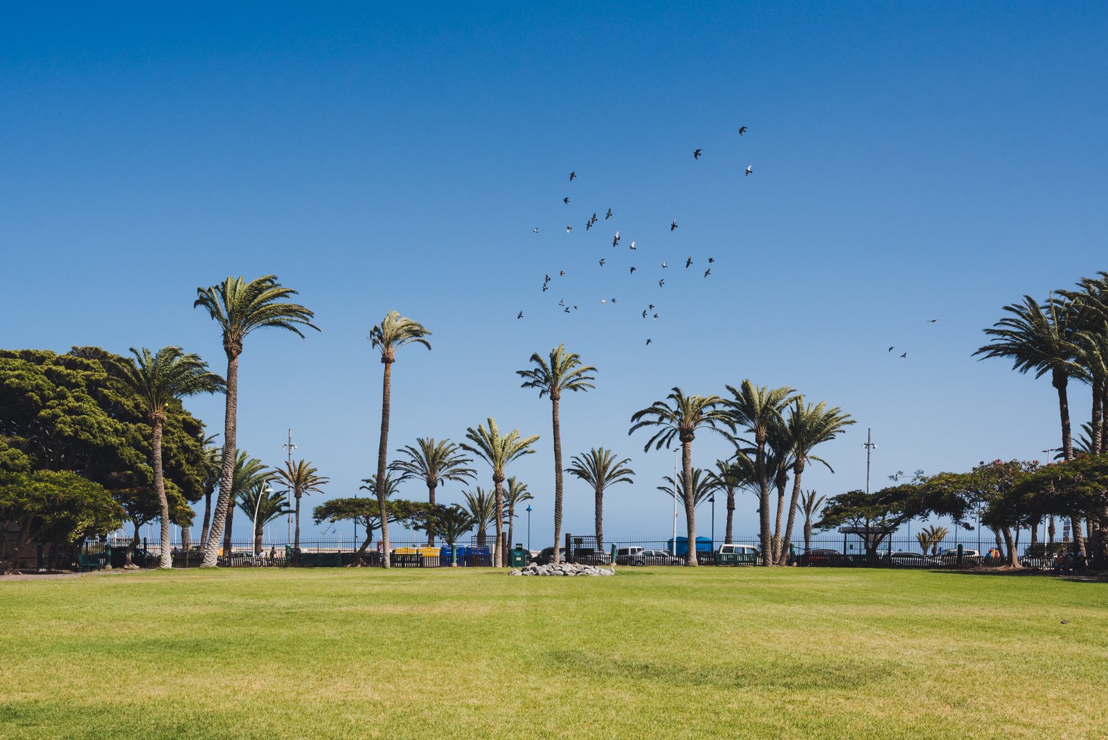 LA_GOMERA_FLOATER_PRODUCTIONS__ER29439