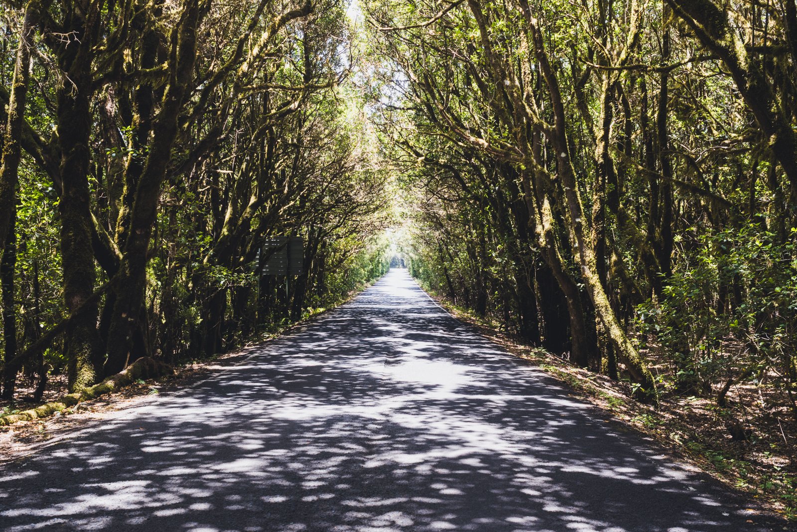 LA_GOMERA_FLOATER_PRODUCTIONS__ER29992