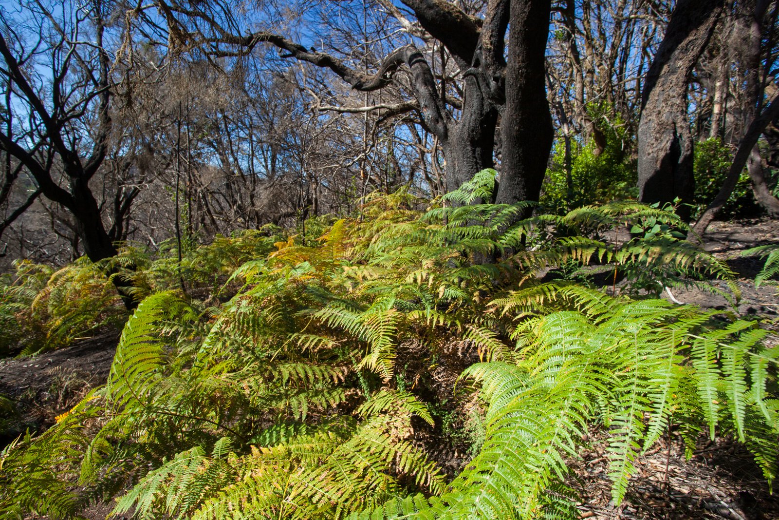 LA_GOMERA_FLOATER_PRODUCTIONS__MG_8868