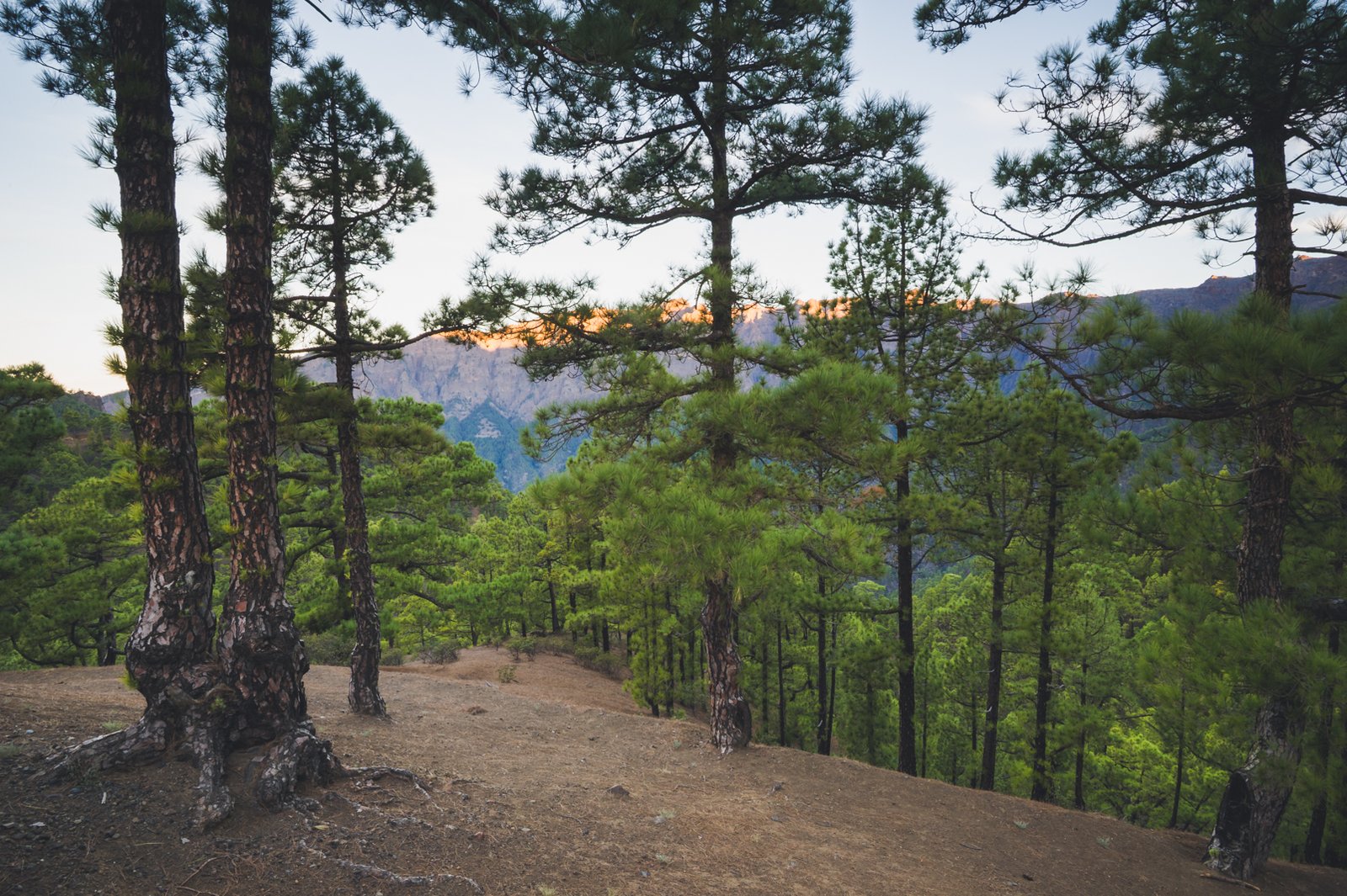 LA_PALMA_FLOATER_PRODUCTIONS__DSC3344