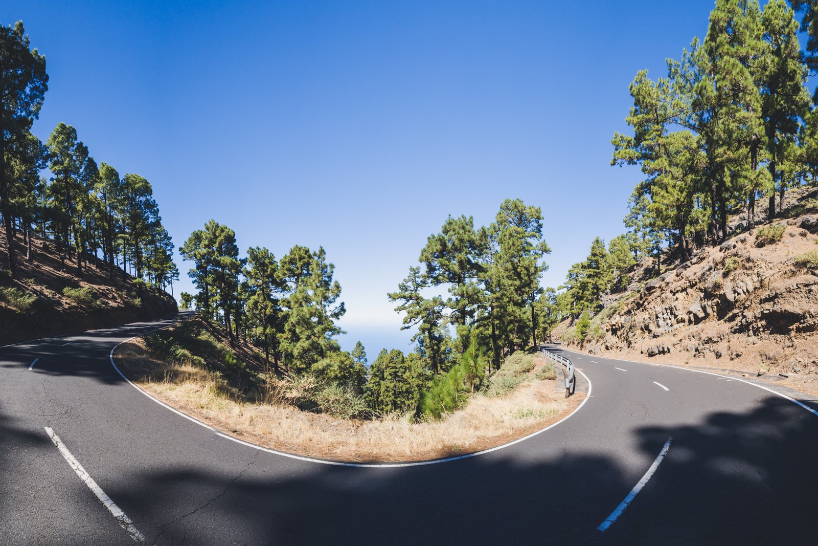 LA_PALMA_FLOATER_PRODUCTIONS__DSC3842-Pano