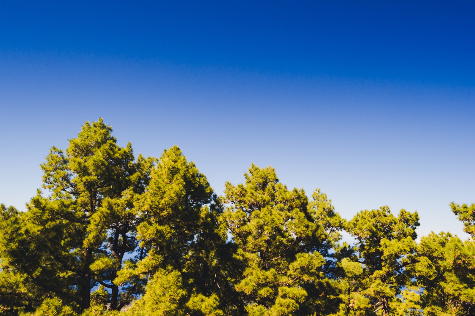 LA_PALMA_FLOATER_PRODUCTIONS__DSC3852