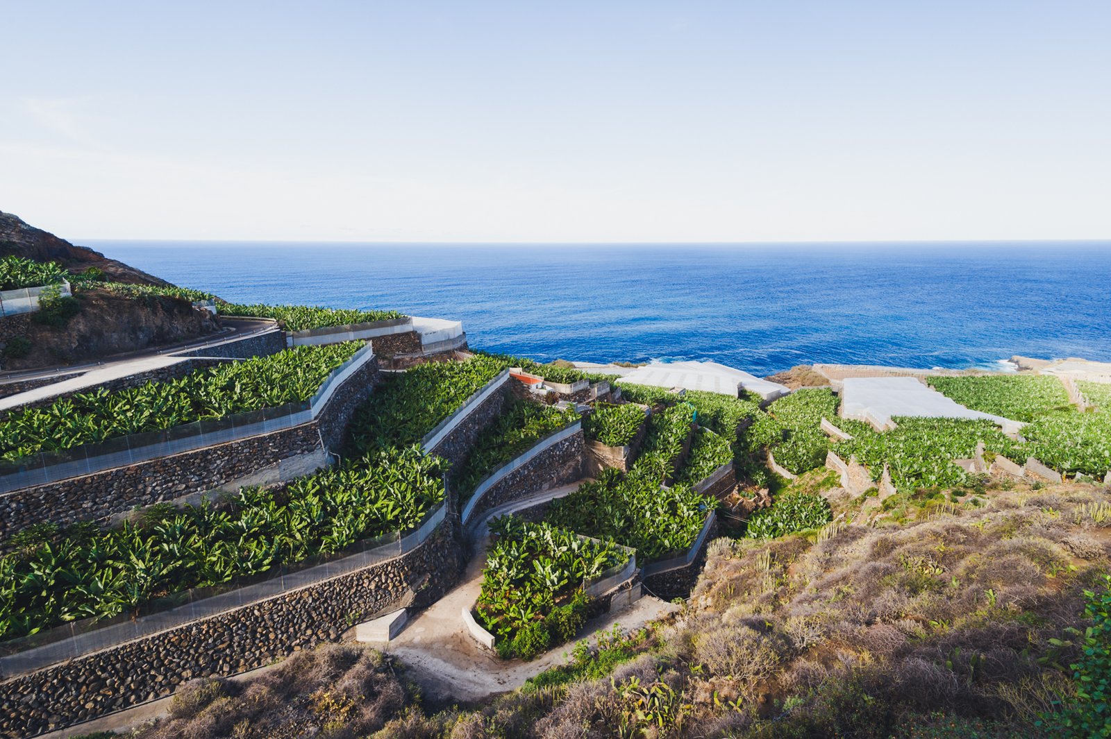 LA_PALMA_FLOATER_PRODUCTIONS__DSC3889