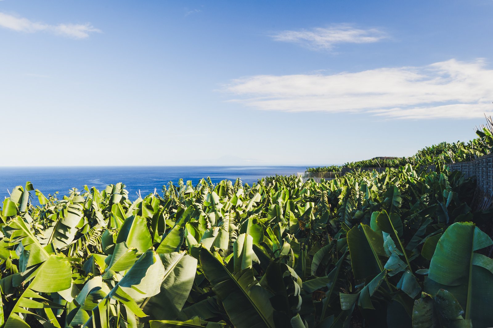 LA_PALMA_FLOATER_PRODUCTIONS__DSC3923