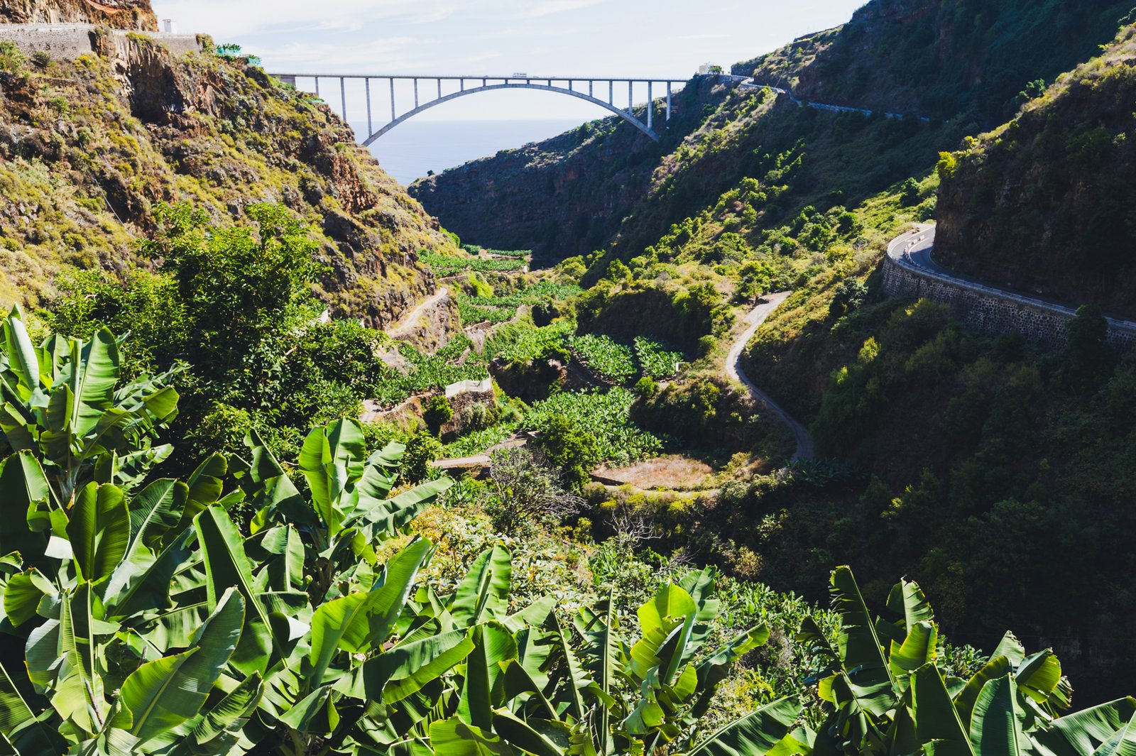 LA_PALMA_FLOATER_PRODUCTIONS__DSC4095