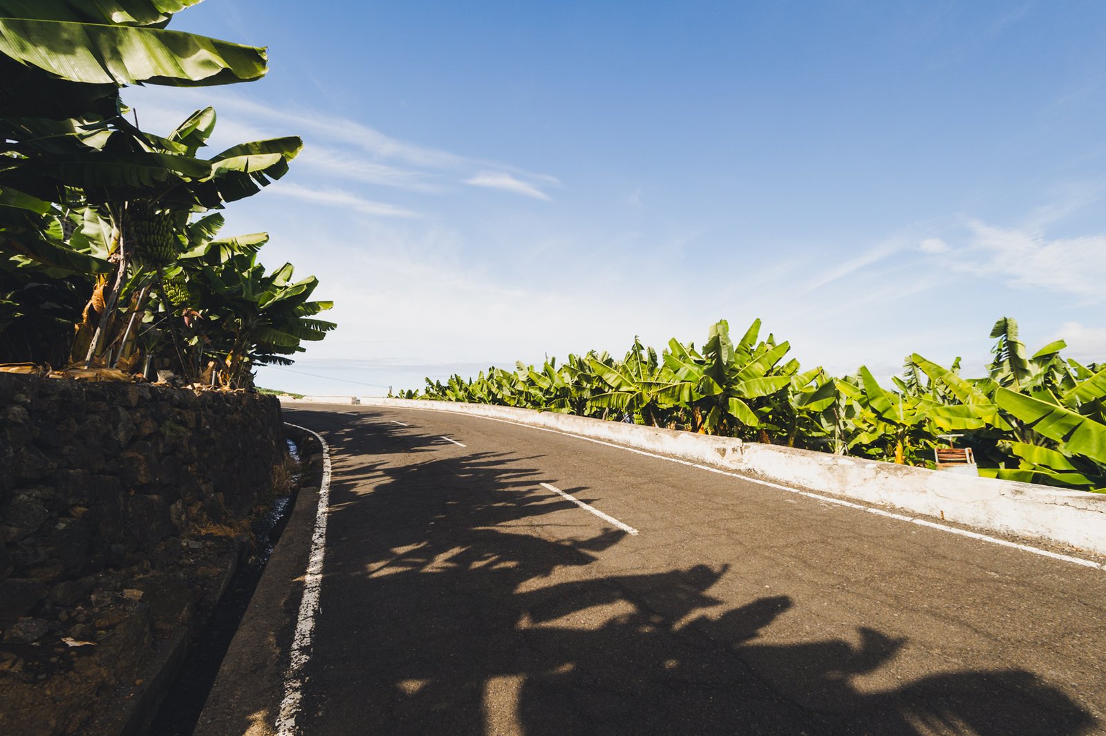 LA_PALMA_FLOATER_PRODUCTIONS__DSC4293