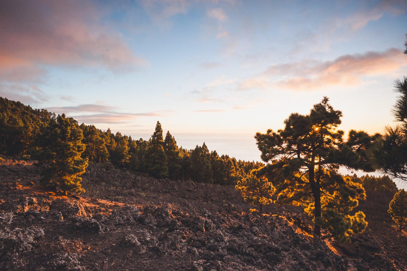 LA_PALMA_FLOATER_PRODUCTIONS__DSC6054