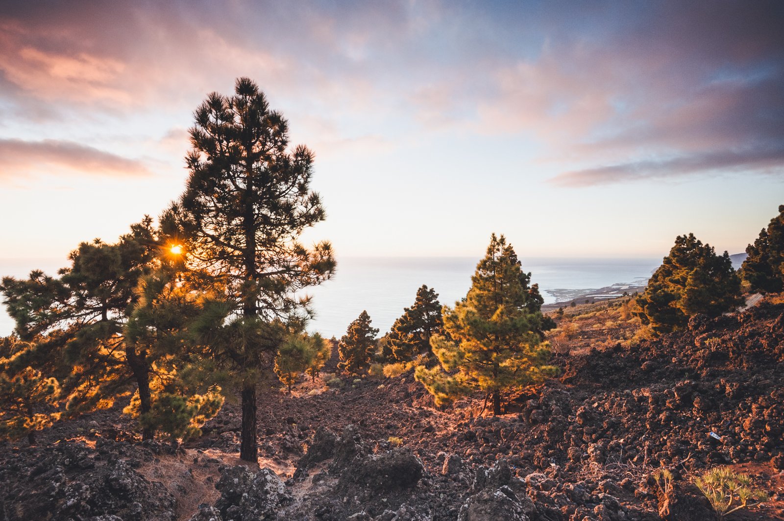 LA_PALMA_FLOATER_PRODUCTIONS__DSC6066