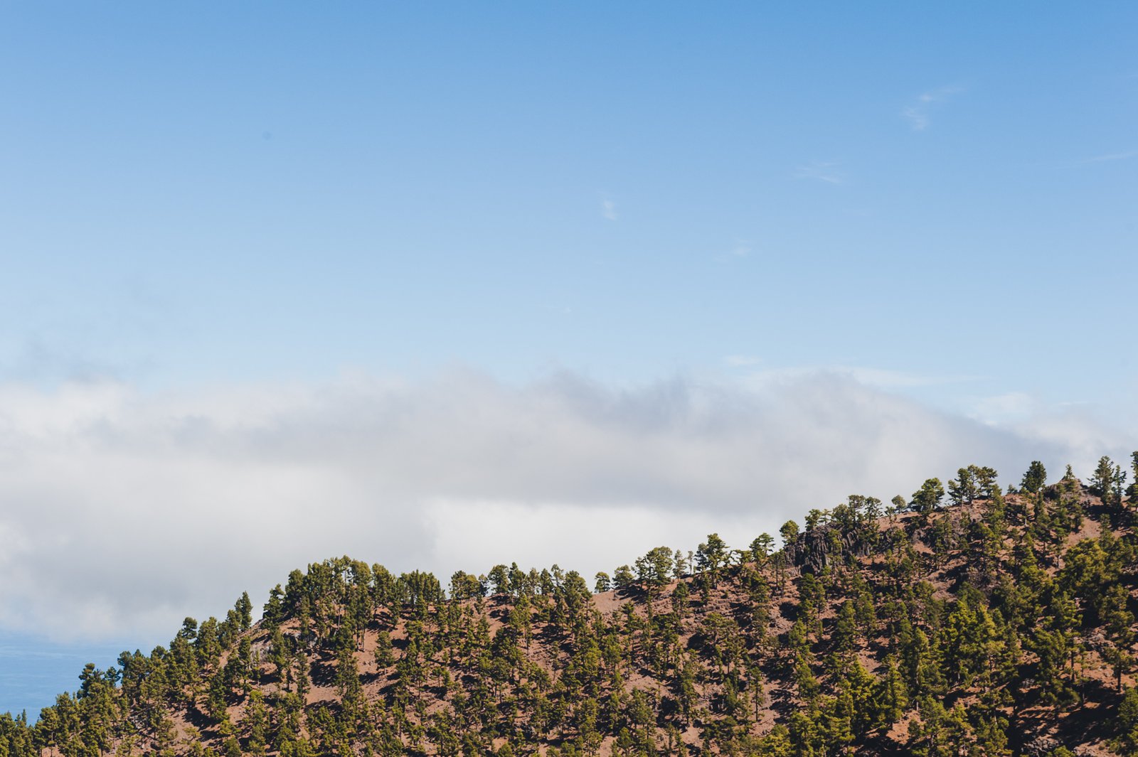 LA_PALMA_FLOATER_PRODUCTIONS__DSC6175