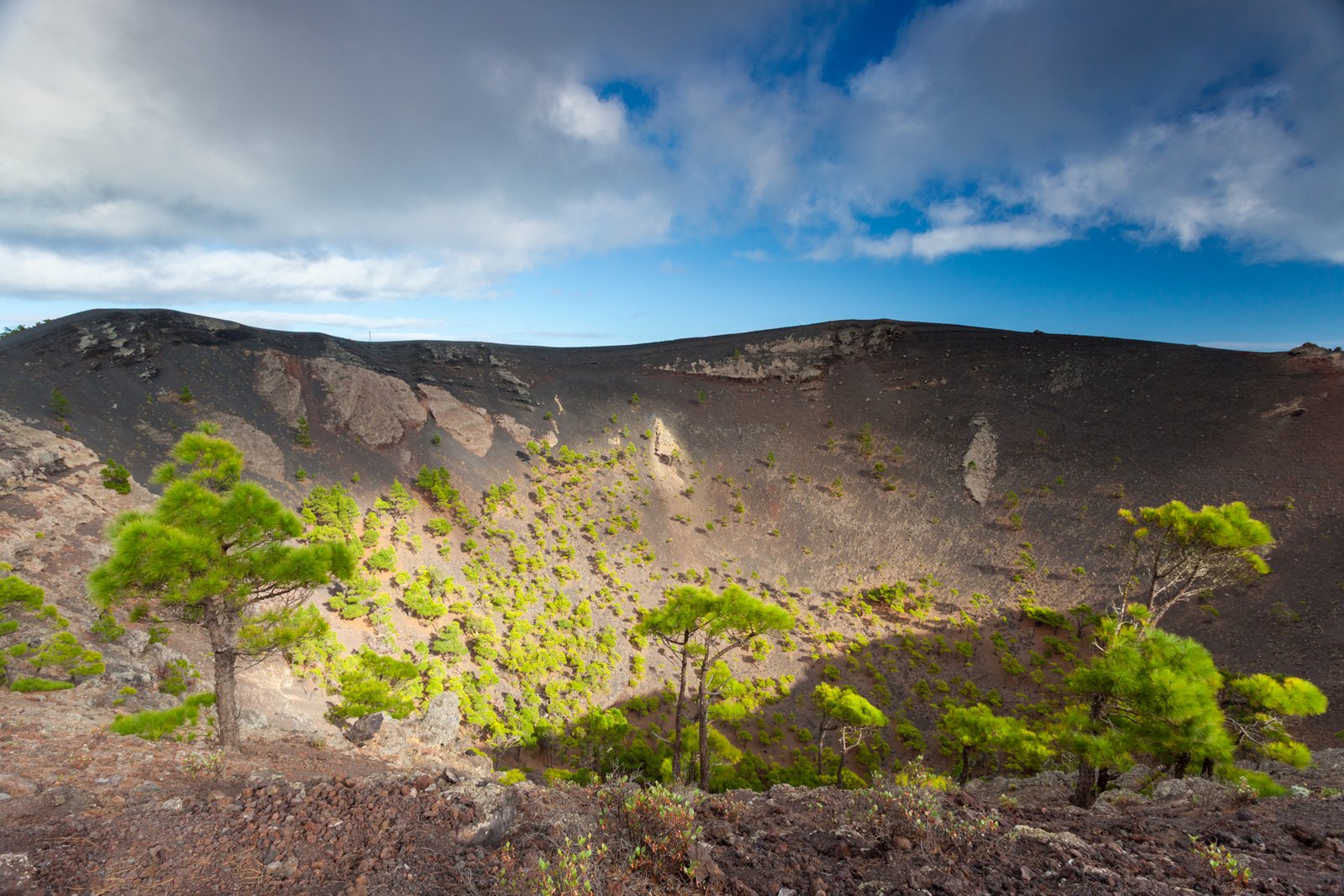 LA_PALMA_FLOATER_PRODUCTIONS__MG_9430