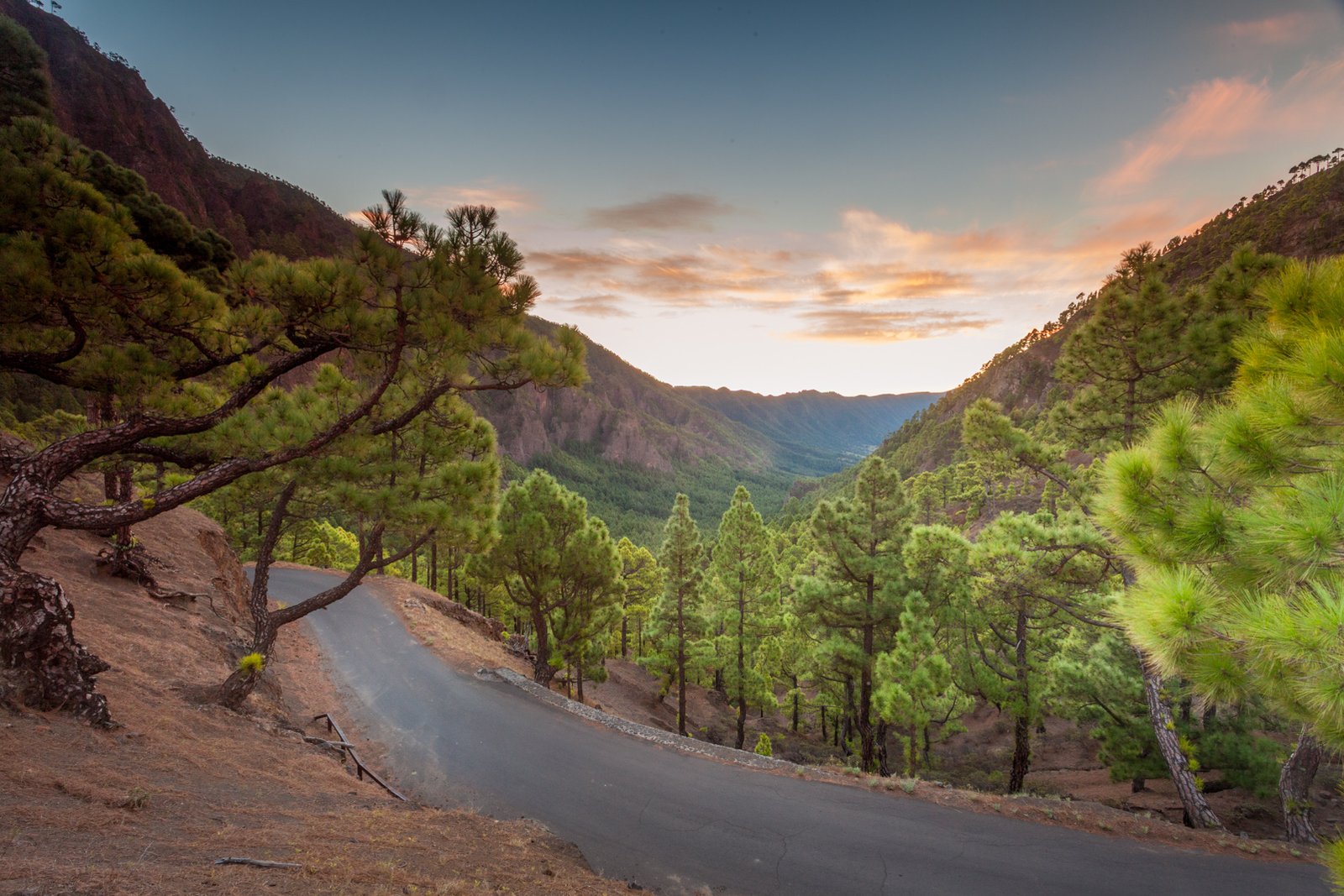 LA_PALMA_FLOATER_PRODUCTIONS__MG_9521