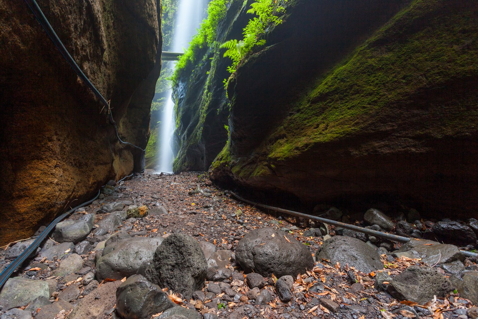 LA_PALMA_FLOATER_PRODUCTIONS__MG_9841