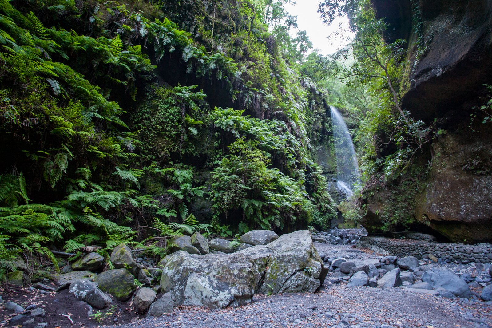 LA_PALMA_FLOATER_PRODUCTIONS__MG_9877