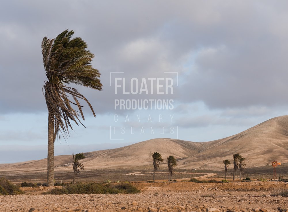 LOCATION-MANAGER-FUERTEVENTURA-06