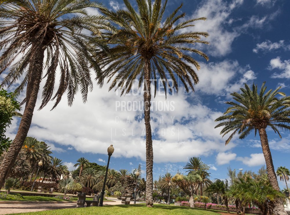 LOCATION-MANAGER-GRAN-CANARIA-14