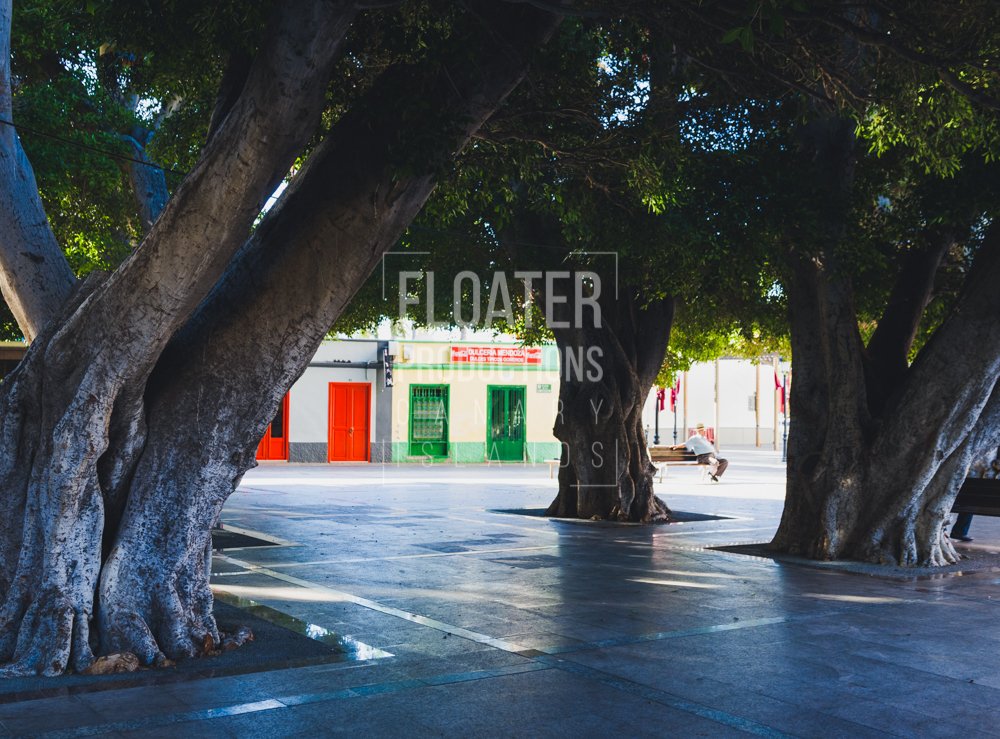 LOCATION-MANAGER-LA-GOMERA-12