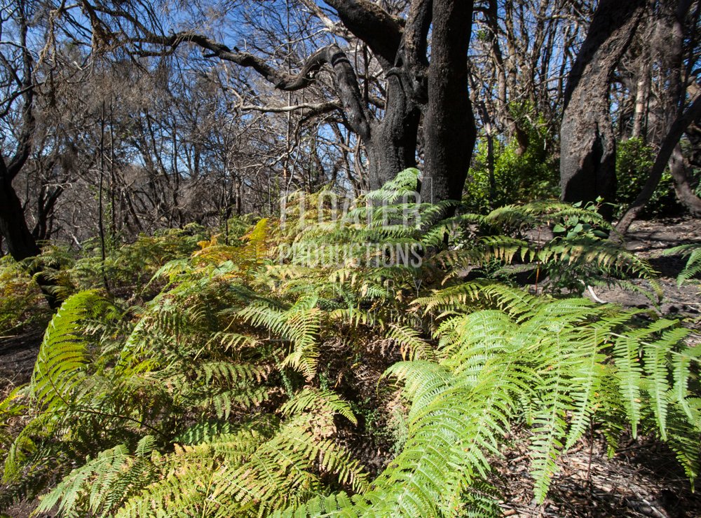 LOCATION-MANAGER-LA-GOMERA-15