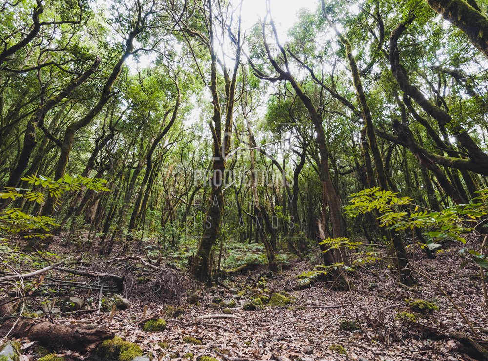 LOCATION-MANAGER-LA-GOMERA-19