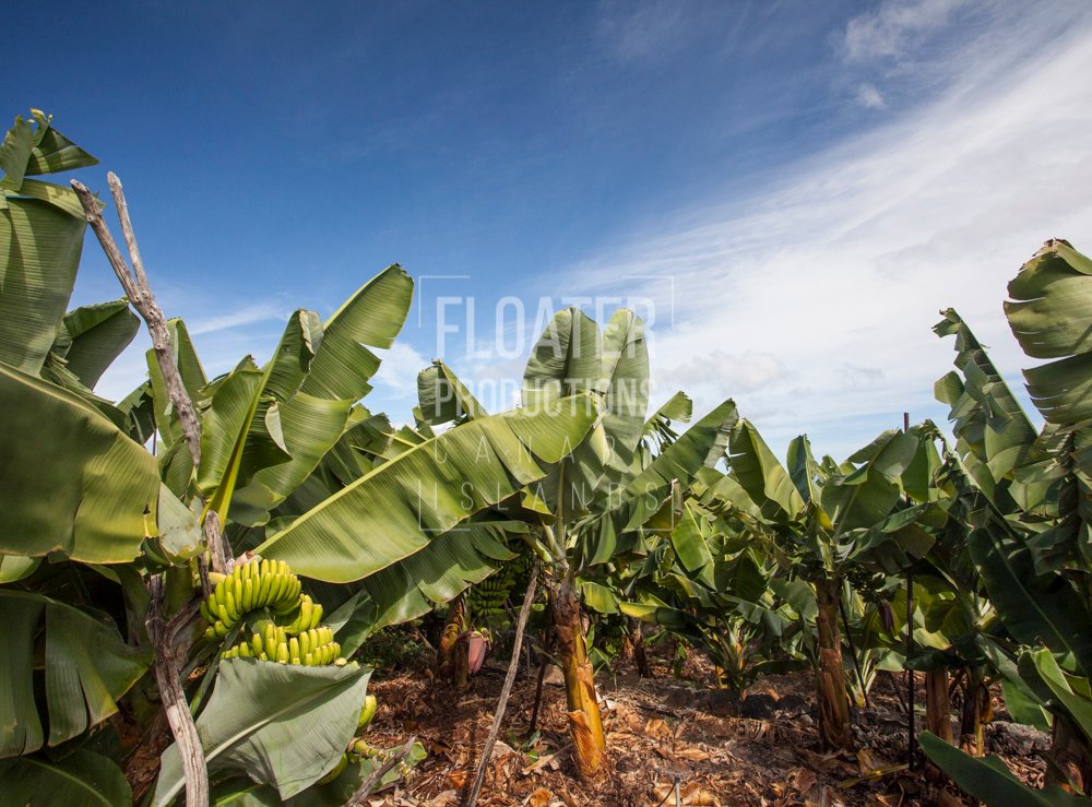 LOCATION-MANAGER-LA-PALMA-31